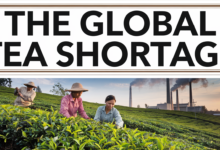 Global Tea Shortage